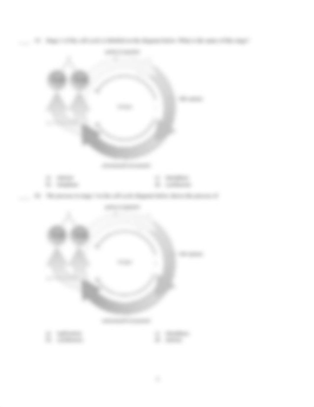 06c._mitosis___meiosis_practice_test.pdf_de4jrahvaat_page3