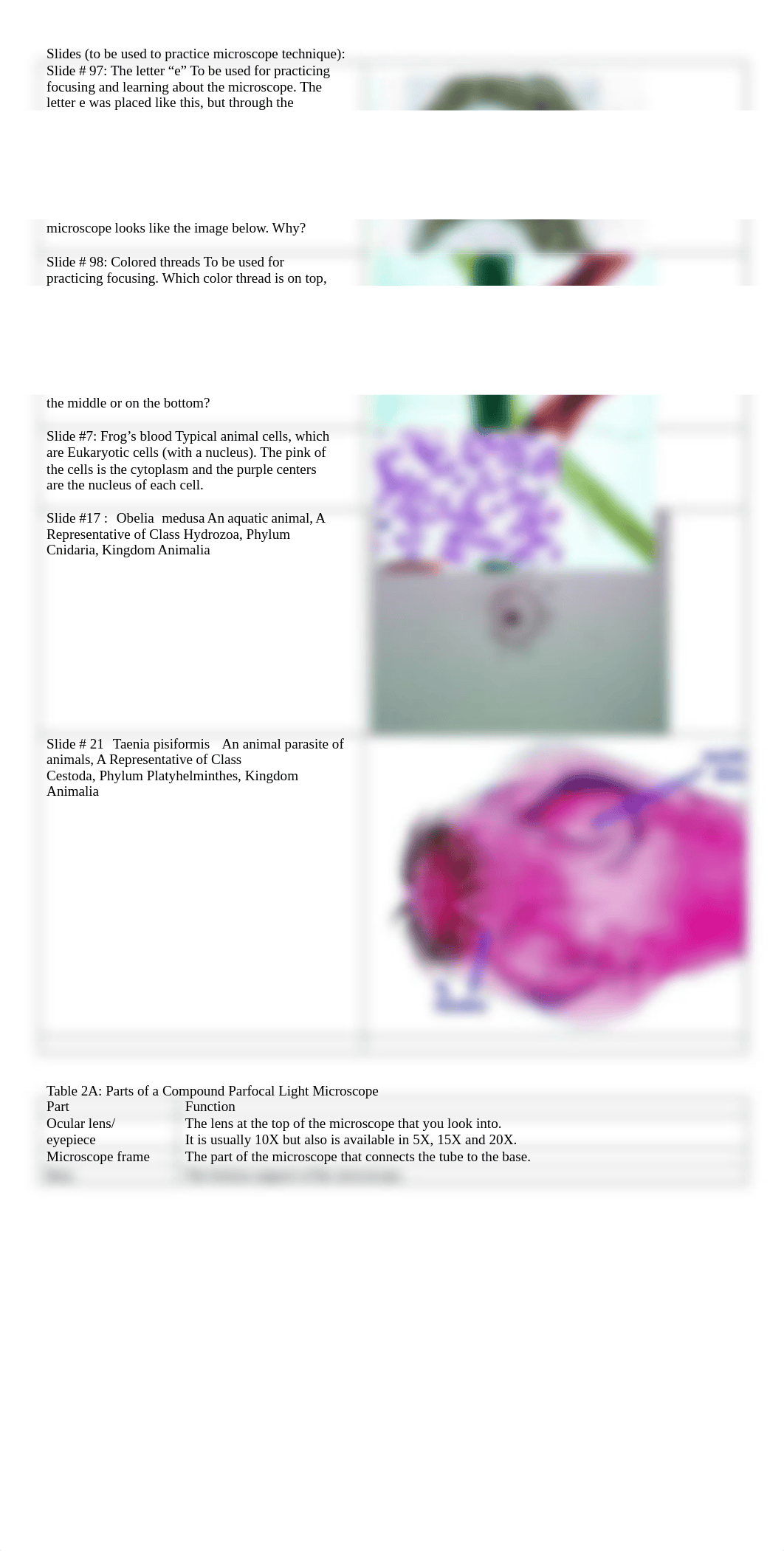 BIO 11 LAB 2 KEY- MICROSCOPE.doc_de4jyxutr0w_page2