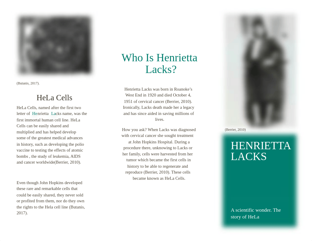 The Story of Henrietta Lacks Brochure.docx_de4n6wrdps1_page1