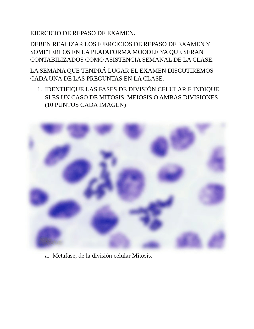 REPASO EXAMEN DE GENETICA (1) (1) copy.docx_de4p2vd02hz_page1