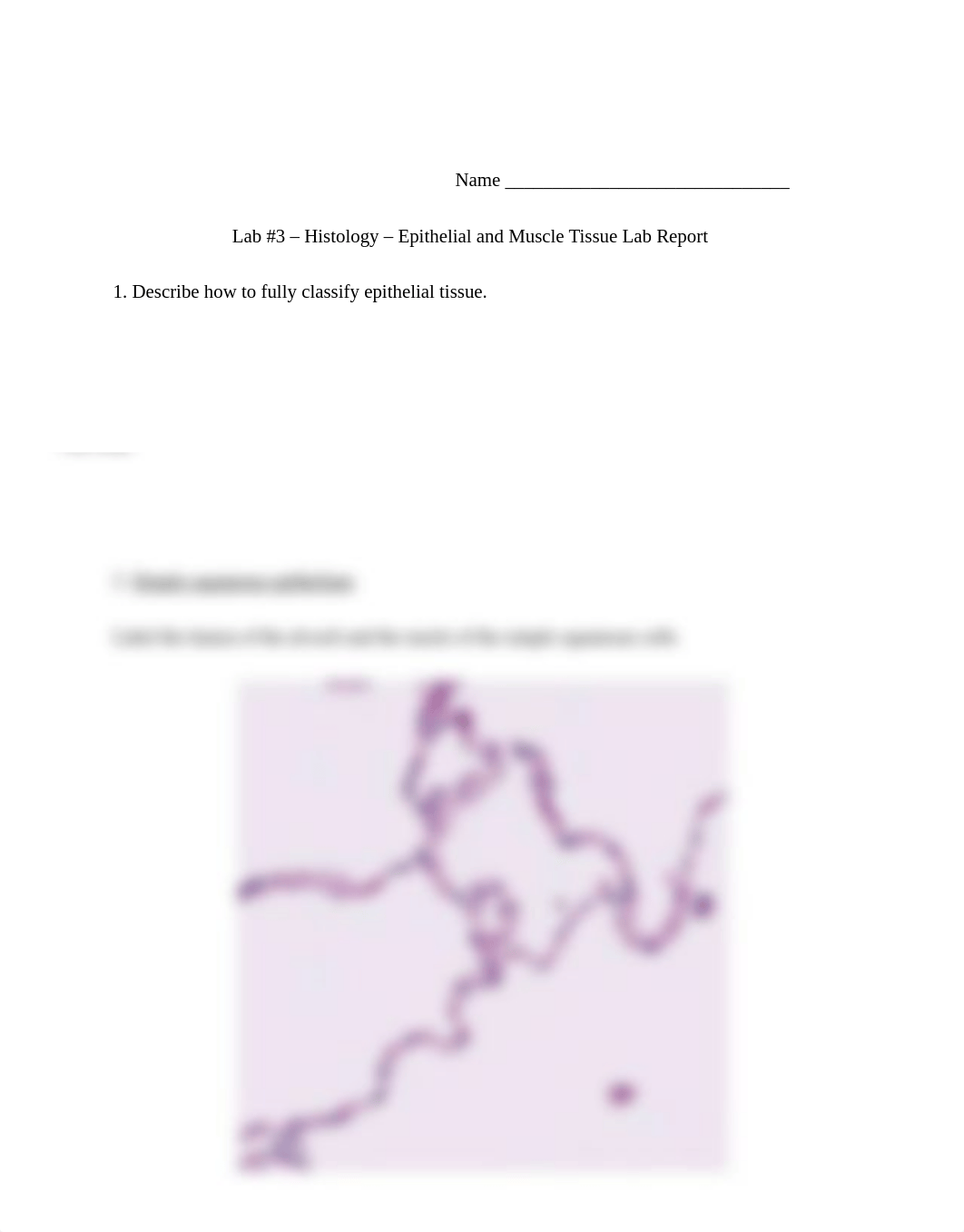 Lab 3 Lab Report Epithelial and Muscle Tissue.pdf_de4rc73arw1_page1