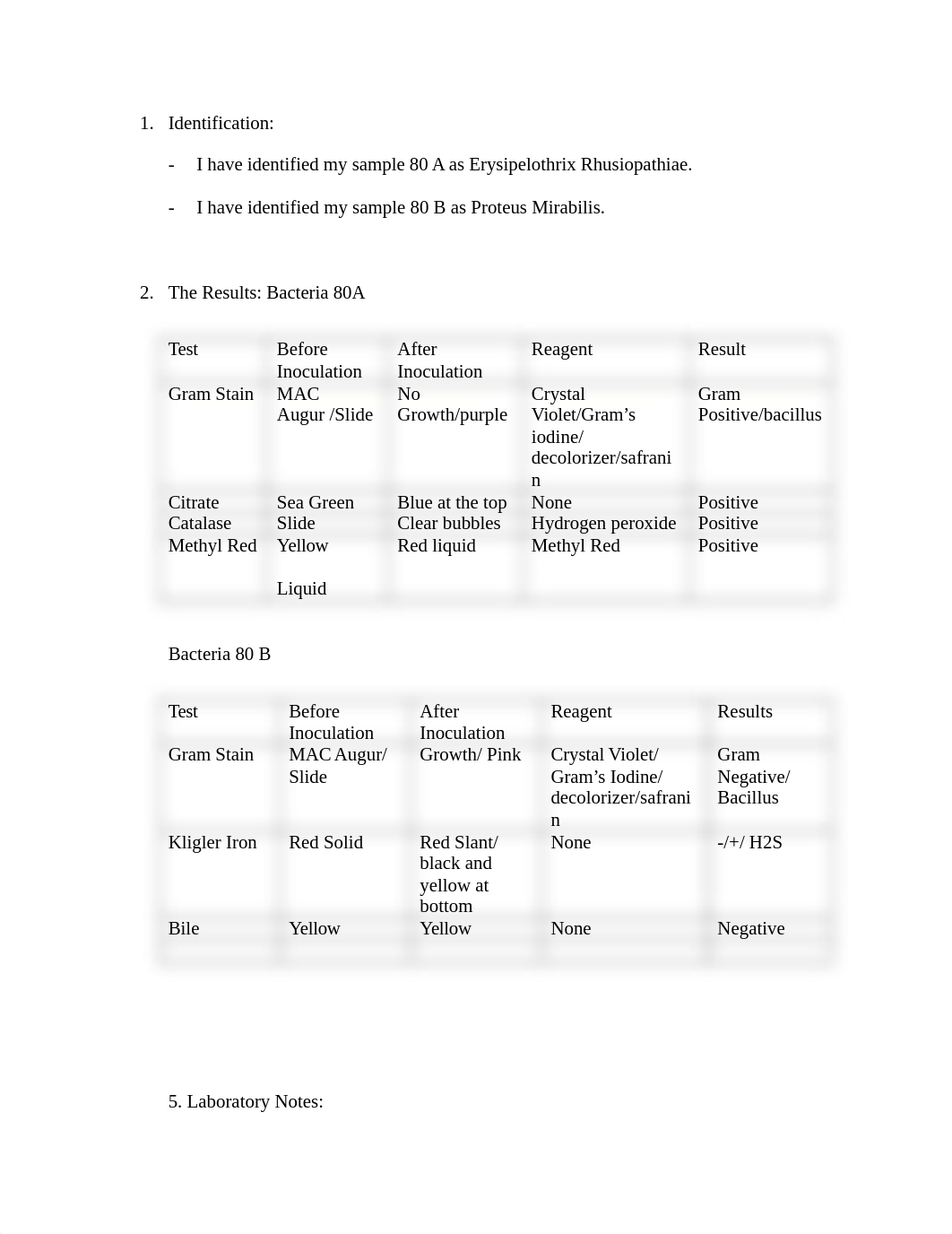 Unknown Bacteria Project .docx_de4rcf92fl8_page2