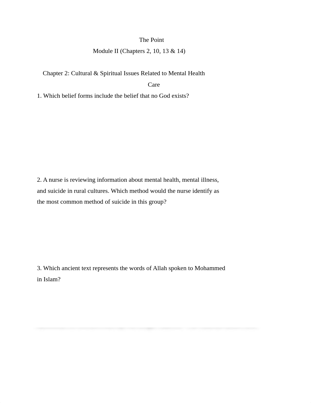 The Point | Module II.docx_de51vqn0ims_page1