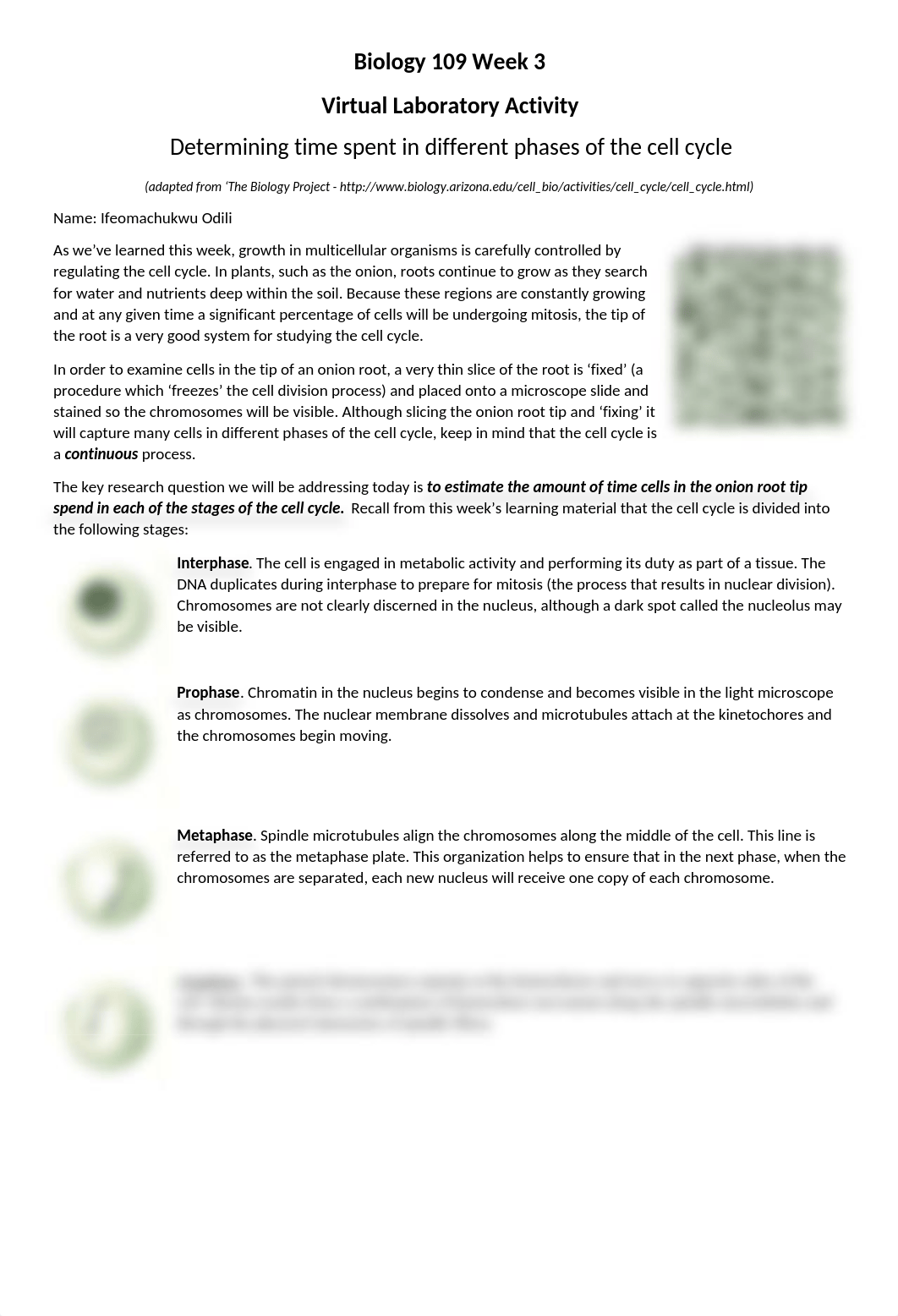 BSC109 - Week 3 Lab - Onion Root Tip Form.docx_de566r0oflc_page1