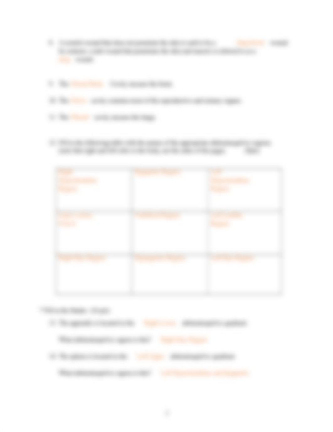 Anatomy & Physiology Lab #1 Human_body_orientation.dotx_de5cobo10fr_page2