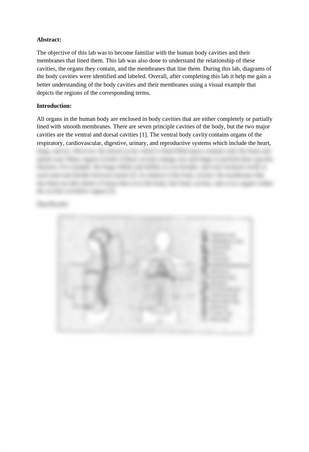 Body Cavities and Membranes anatomy lab 2_de5cqt2a11k_page2