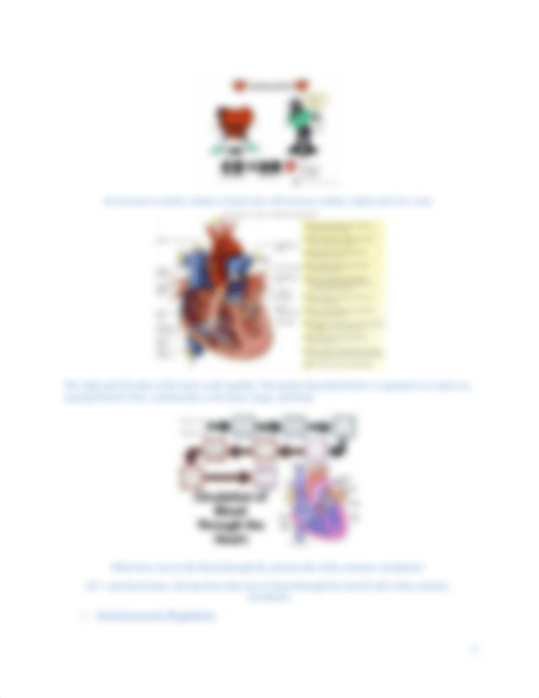 CARDIAC NOTES.docx_de5rf5jiygd_page3