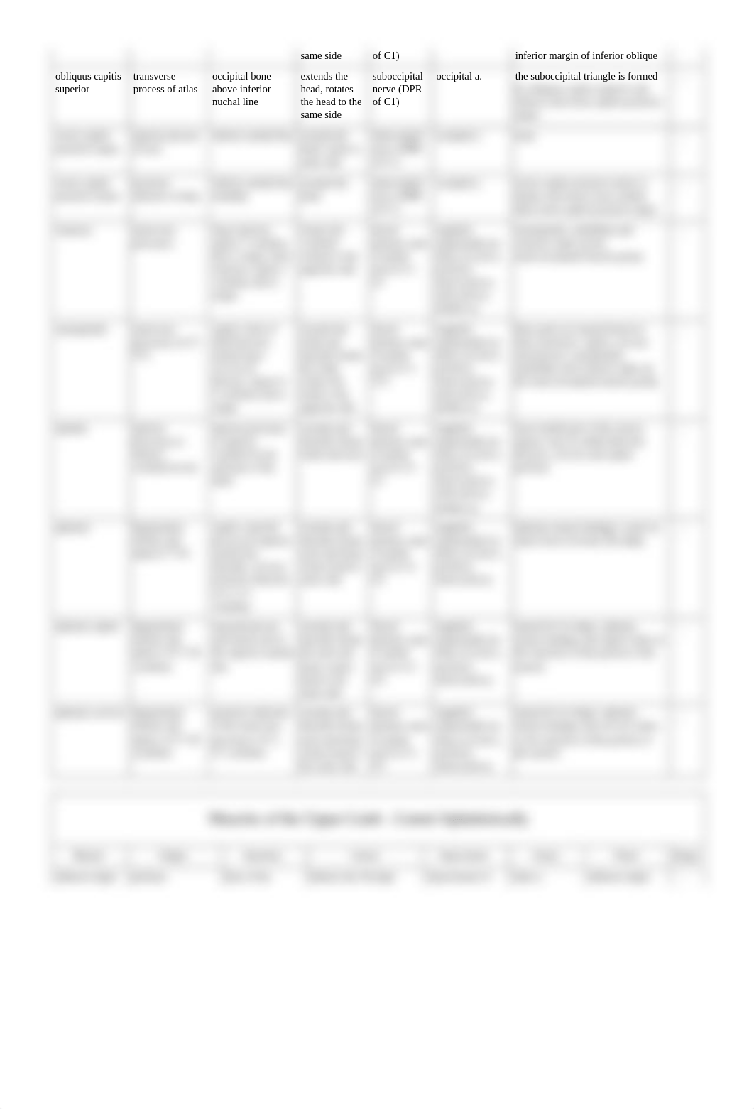 Univ_of_Michigan_-_Gross_Anatomy_-_Muscles_Tables.pdf_de5spwfo3of_page2