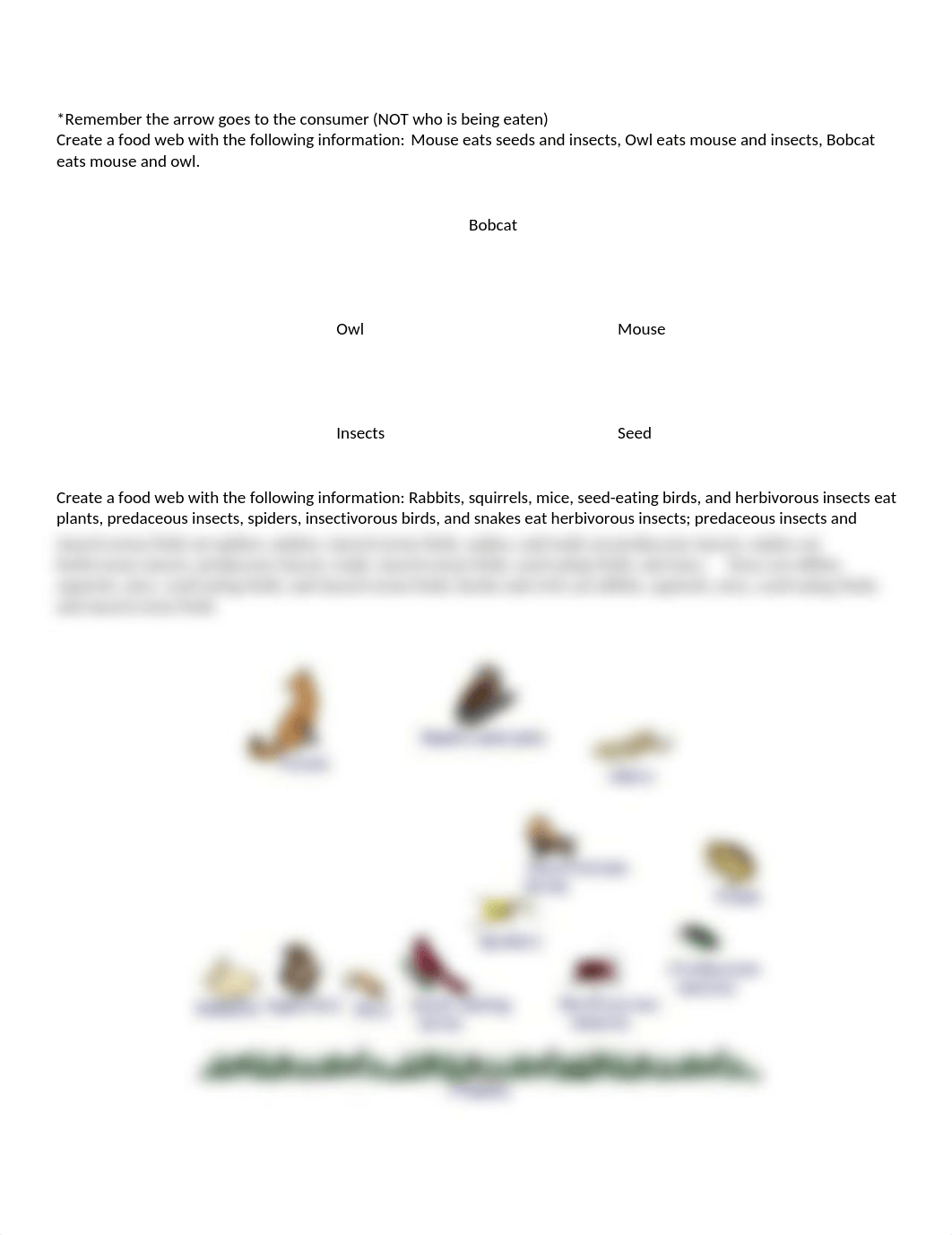 Food Webs.docx_de61z49v0fj_page1