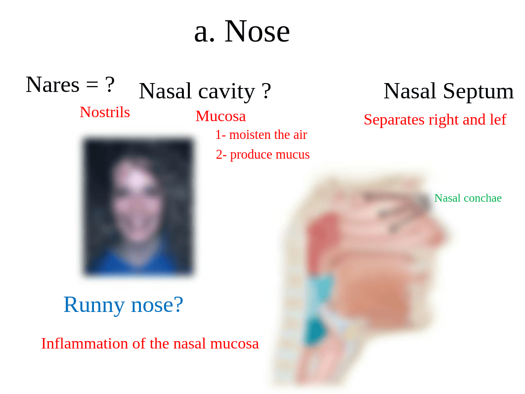 BIOL 130 ppt Exam 4 review.pptx_de62ihypr0n_page4