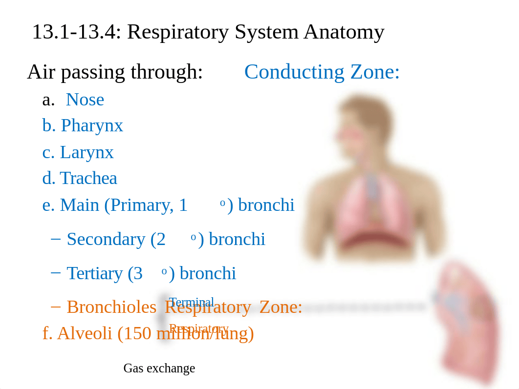 BIOL 130 ppt Exam 4 review.pptx_de62ihypr0n_page3