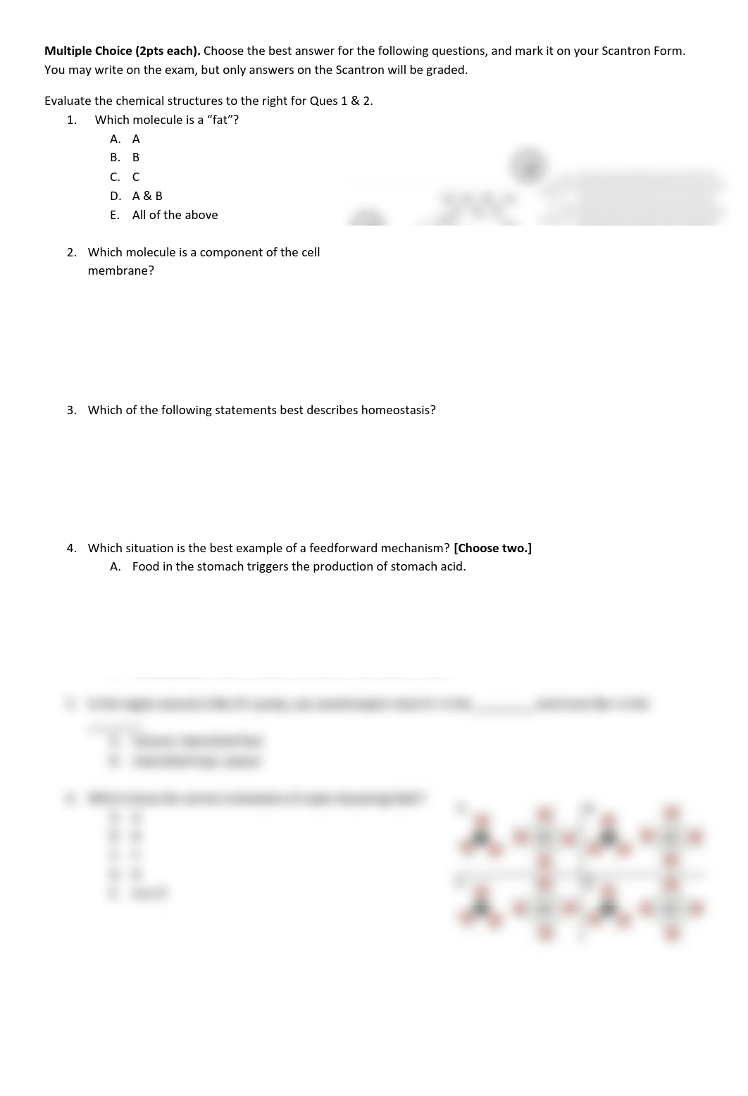 BIOL081_Fall19_Exam1.pdf_de6k77v1u9v_page2