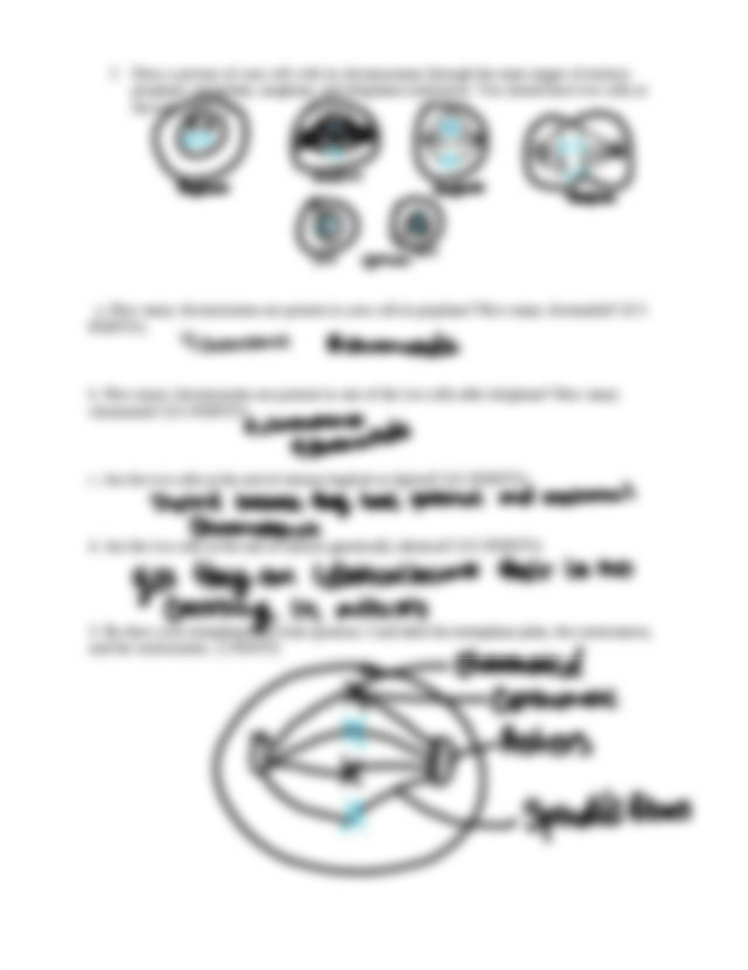 Mitosis+Virtual+Lab copy.docx_de6okbt9z4w_page2