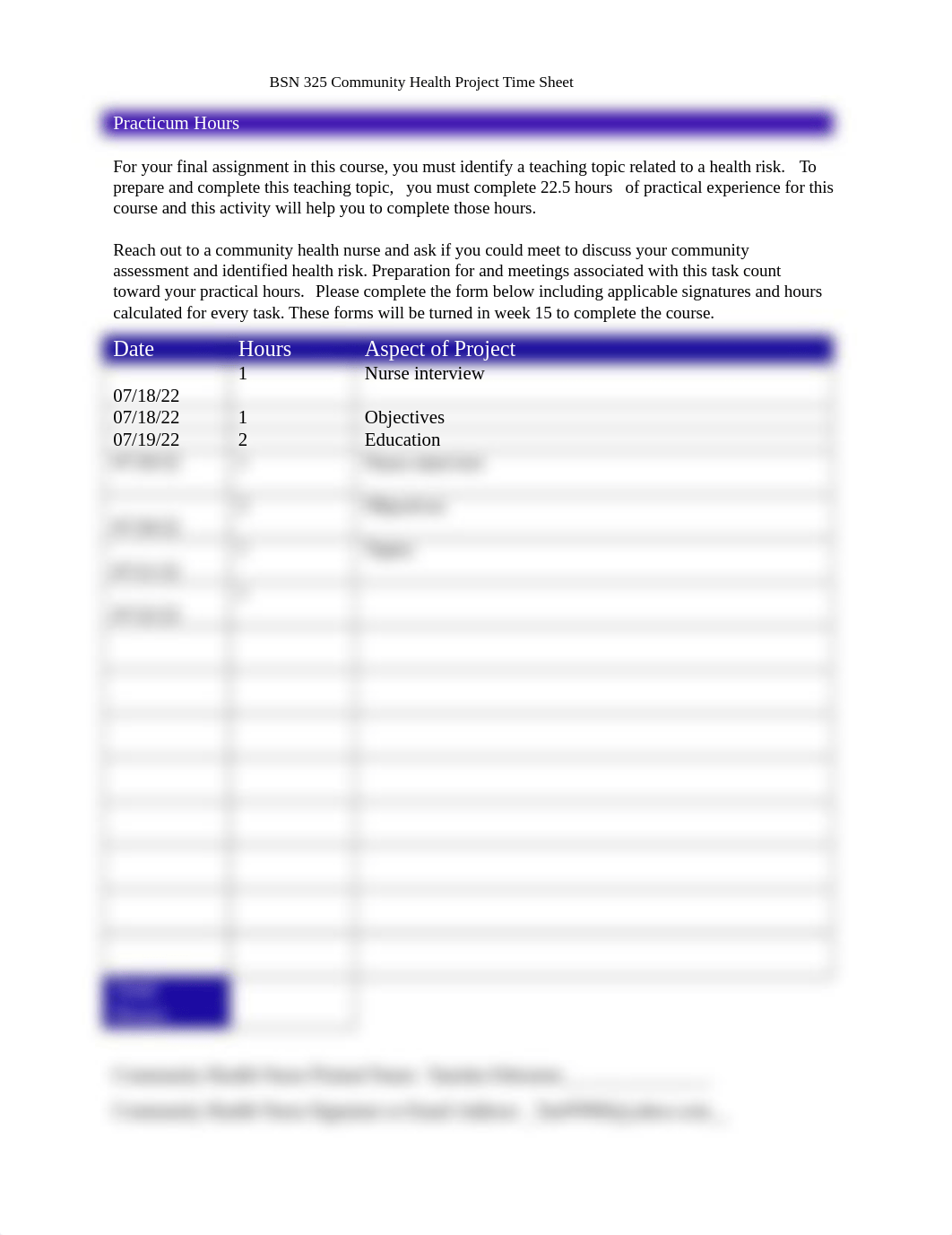 BSN 325 Practicum Time Sheet.docx_de6pr2kd6w0_page1