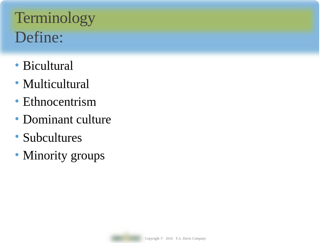 Ch15 Culture _ Ethnicity.ppt_de72tlcowq0_page5