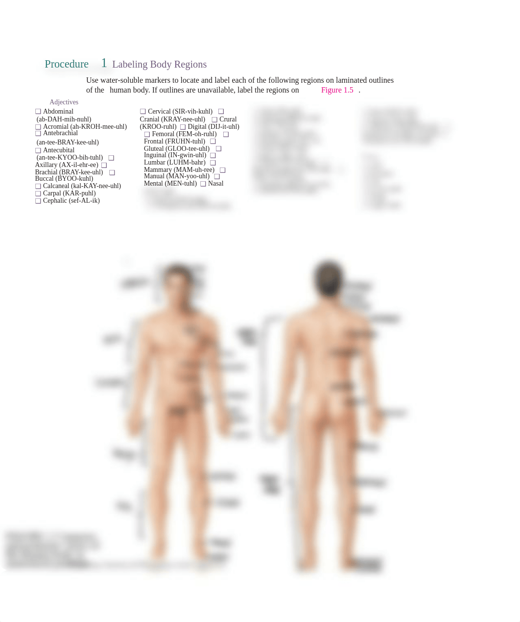 Unit 1 Exercise 1-3 Procedure 1.docx_de75nkm5ec6_page1