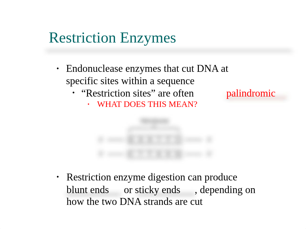 Lab 7 Restriction Digests Gel Electrophoresis Bio61 F2018.ppt_de78a1id0f9_page4