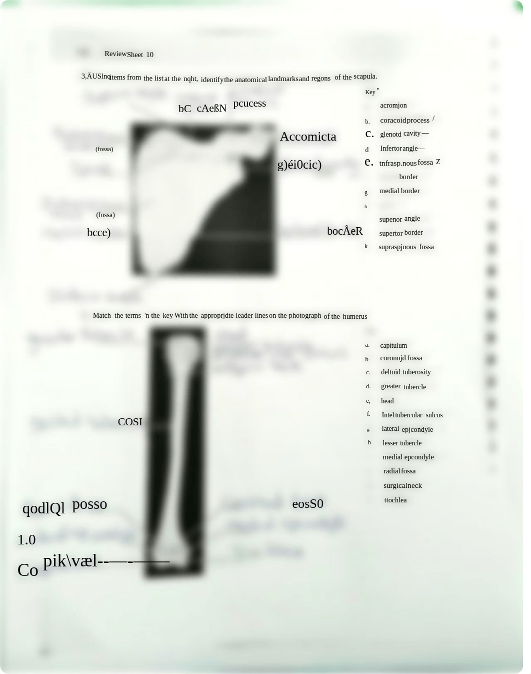 bio 137 homework 2.pdf_de7cx31ismj_page2