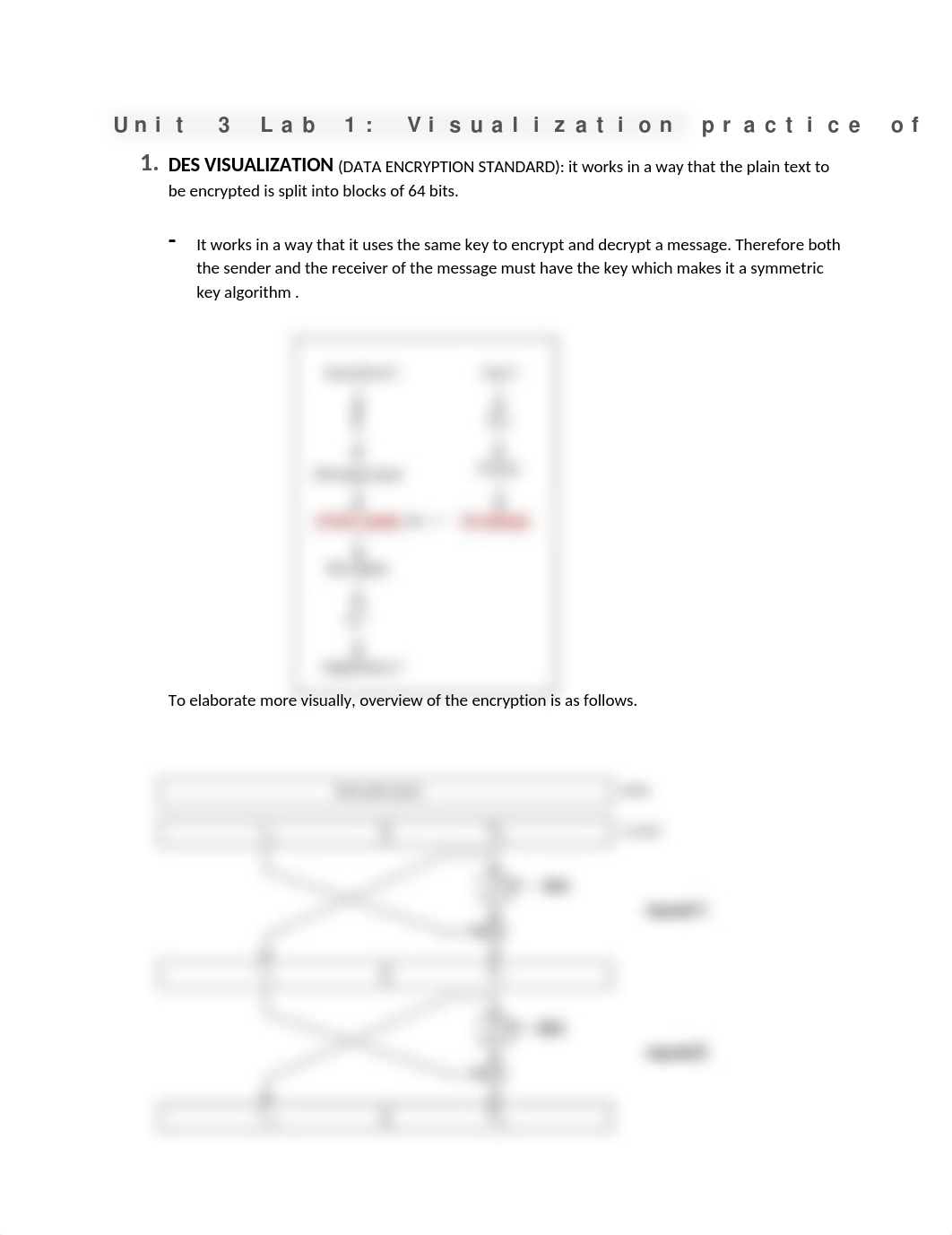 Week_3_DES_3DES.docx_de7j1ewivrw_page1