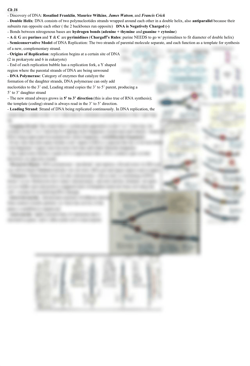 CELLULAR BIOLOGY STUDY GUIDE.pdf_de7q7vo3va2_page1