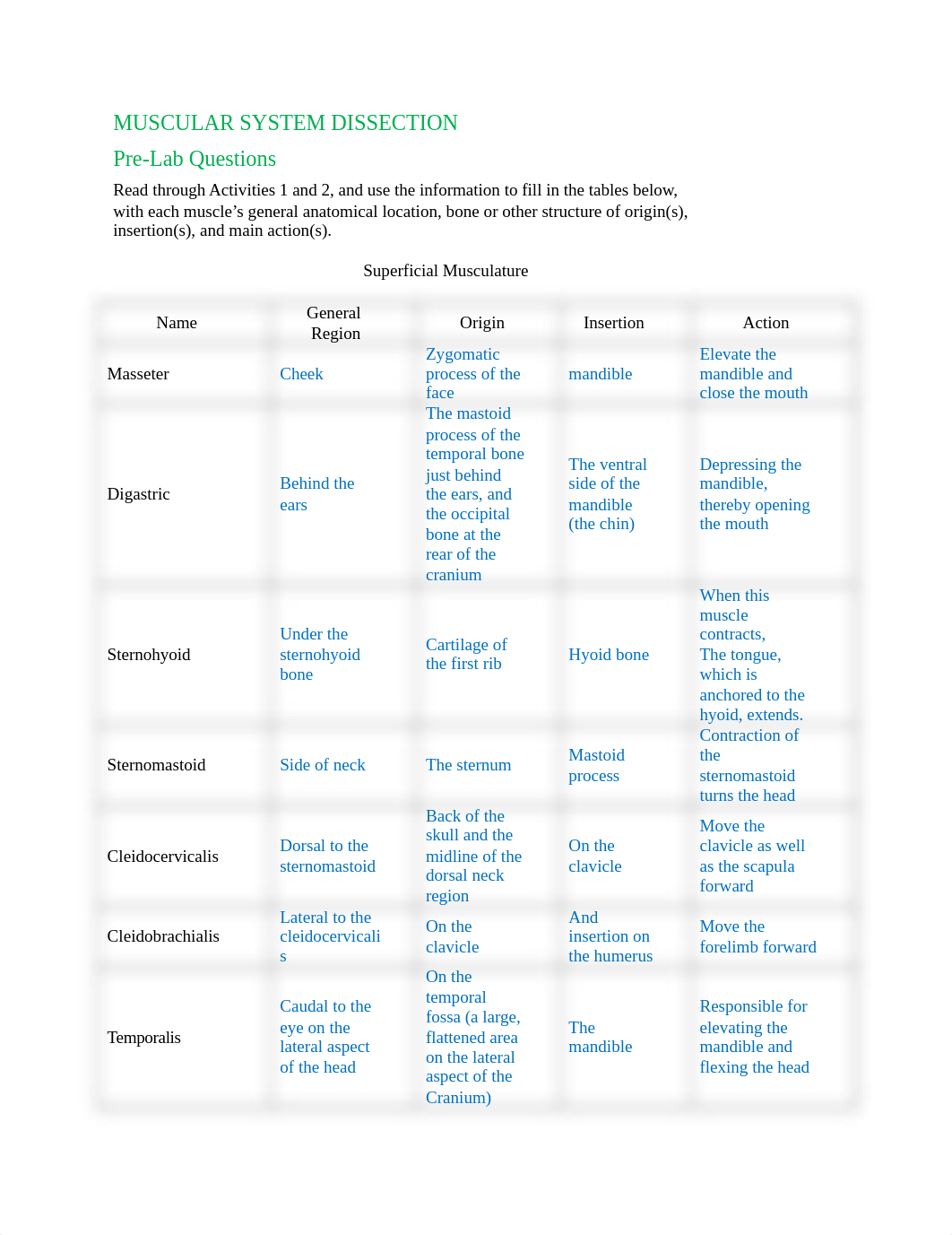 Muscular-System-Dissection_Worksheet_2020.docx_de7qr78tlzd_page1