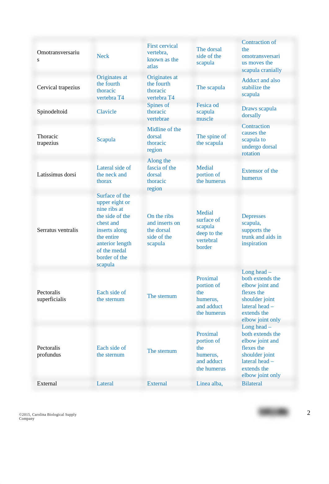 Muscular-System-Dissection_Worksheet_2020.docx_de7qr78tlzd_page2