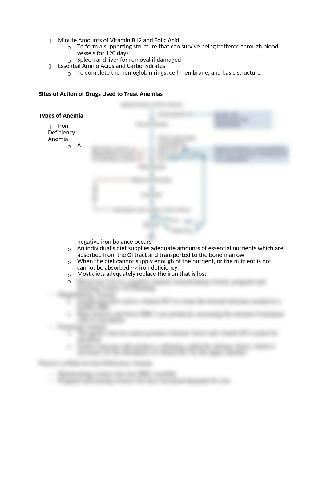 Chapter 49  Anemias.docx_de7wcdvu8x3_page2