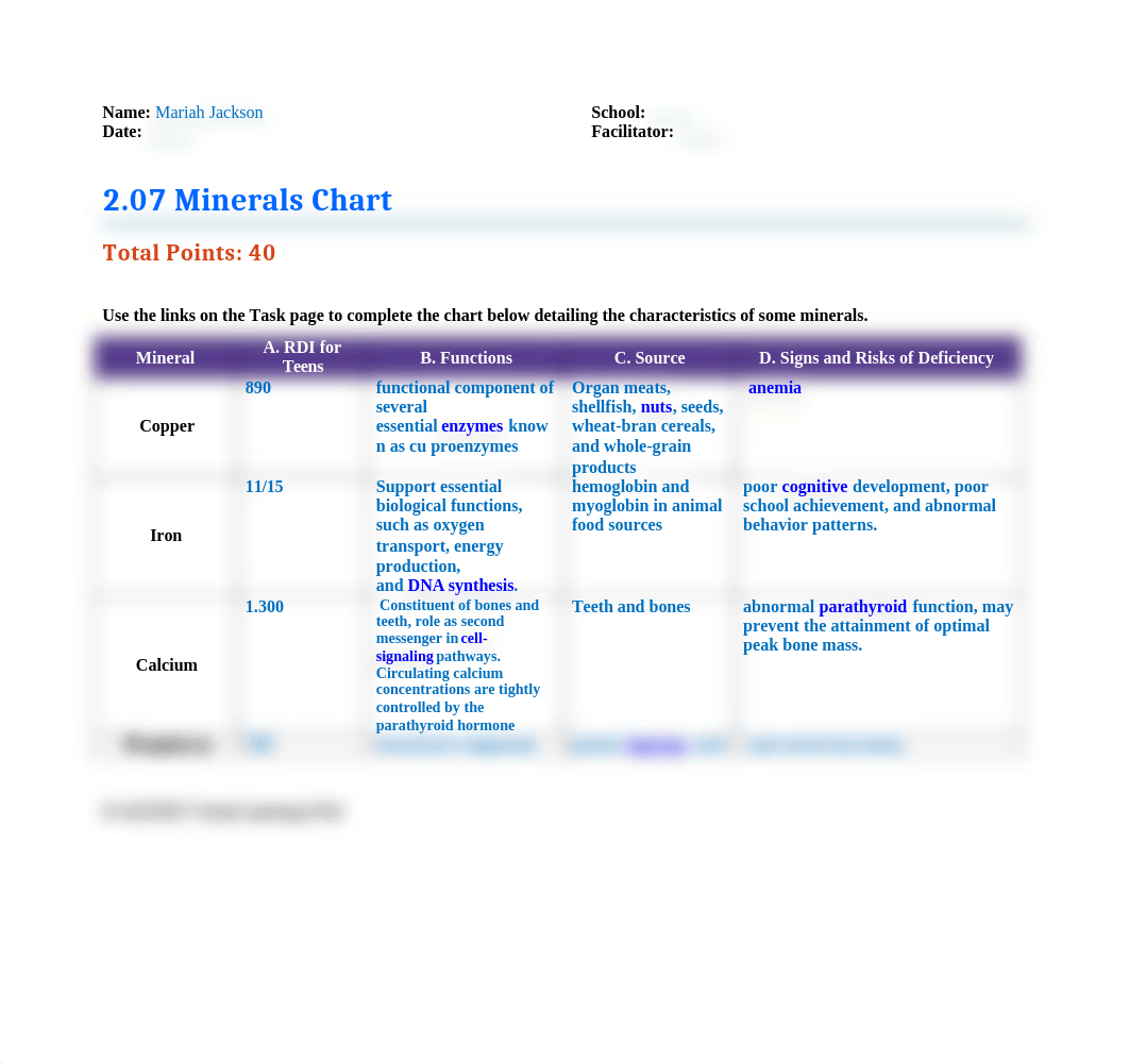 2.07 Minerals Chart.docx_de8221kxvcd_page1