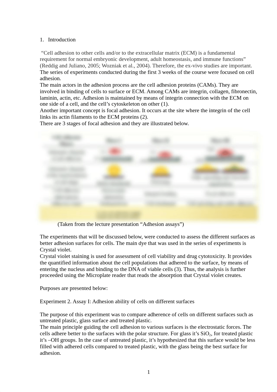 Lab report Cell adhesion.docx_de8j6ryezmw_page2