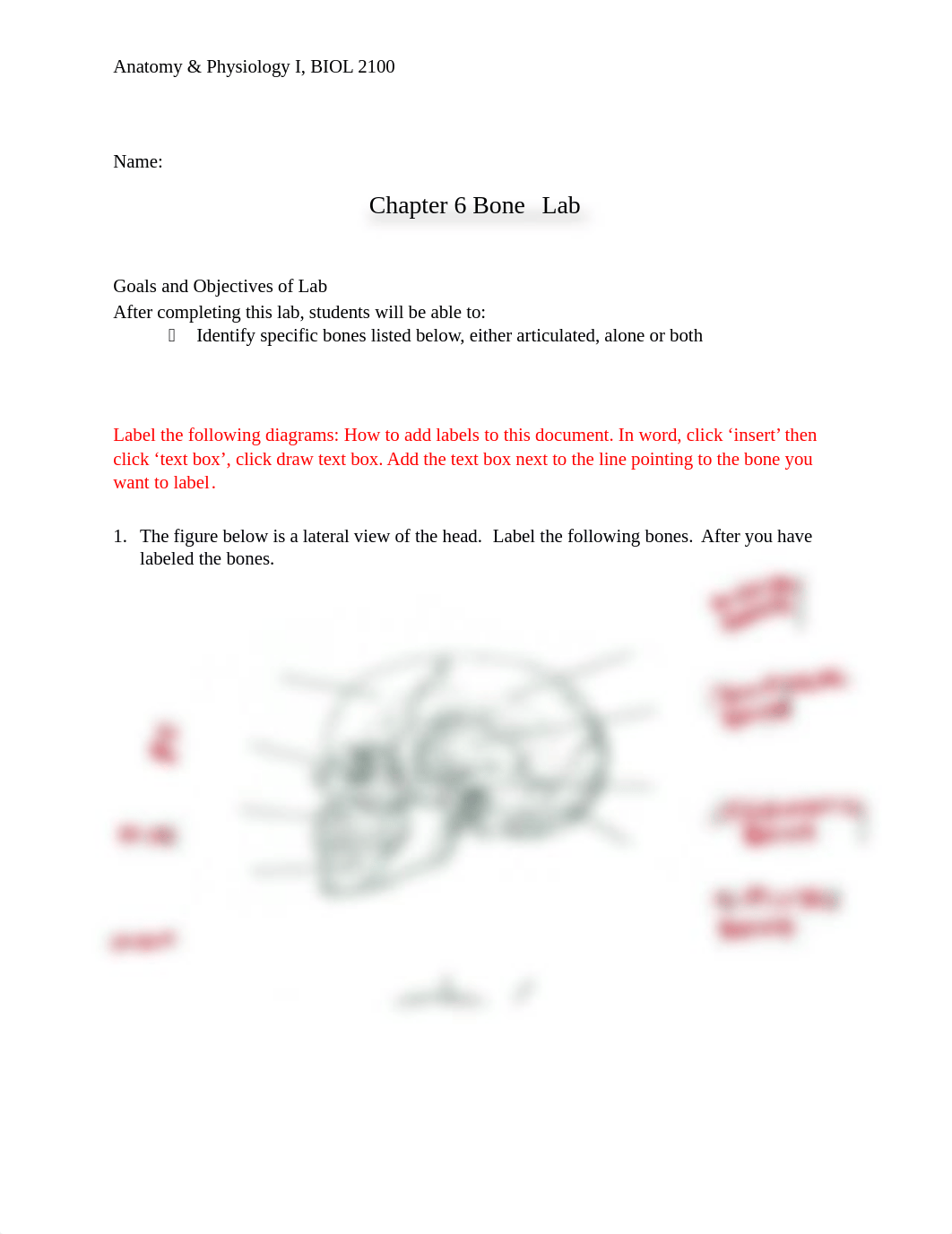 Chapter 6 Bone Lab.docx_de8k08in6qo_page1