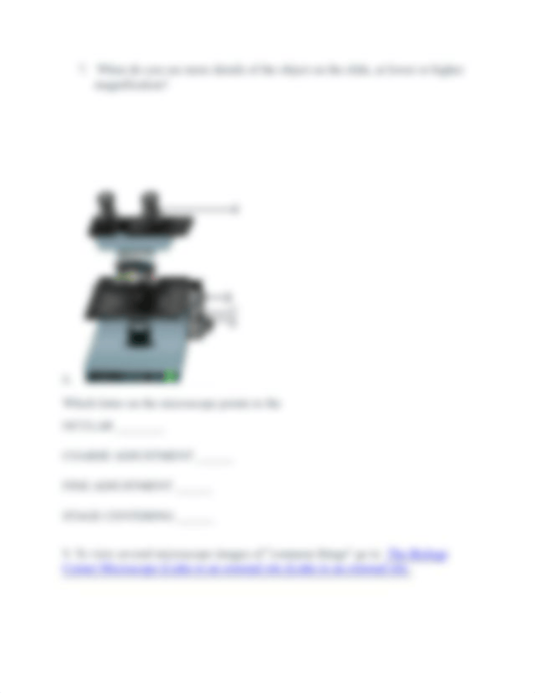 Microscope and Cells Lab-1.pdf_de8owh6m026_page4