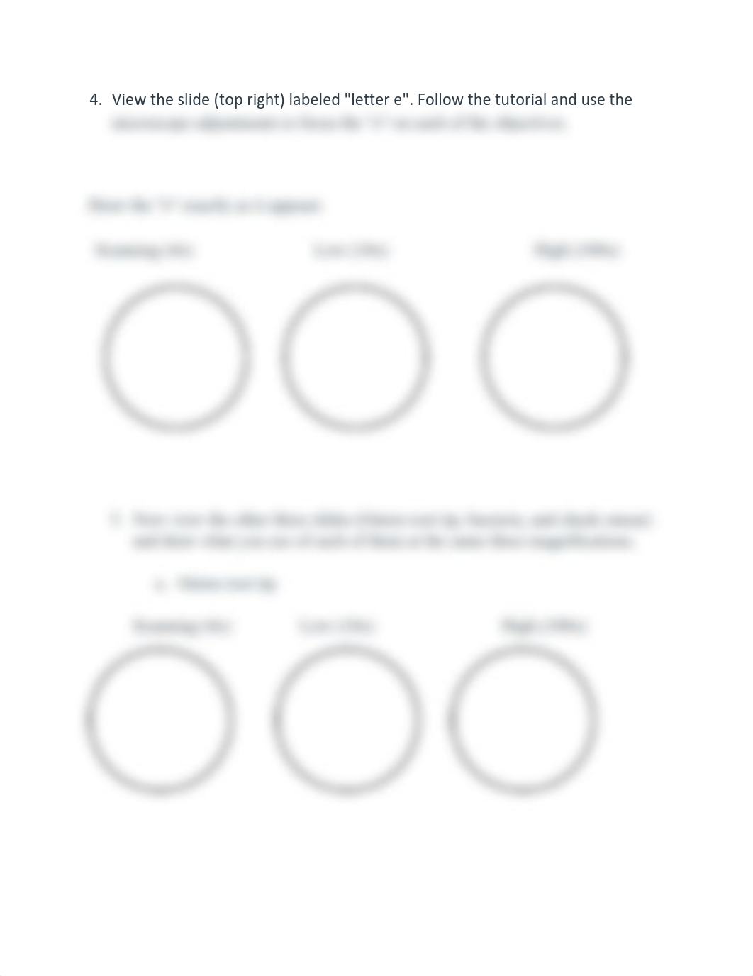 Microscope and Cells Lab-1.pdf_de8owh6m026_page2