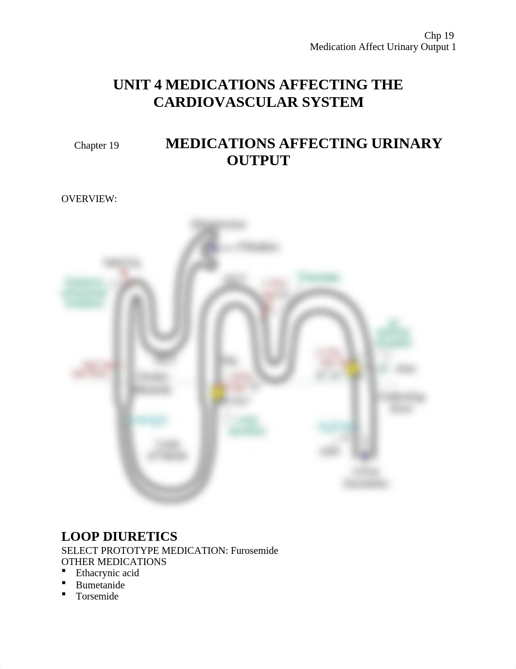 Chp 19  - Med Affect Urinary Output.docx_de8ptgekegs_page1