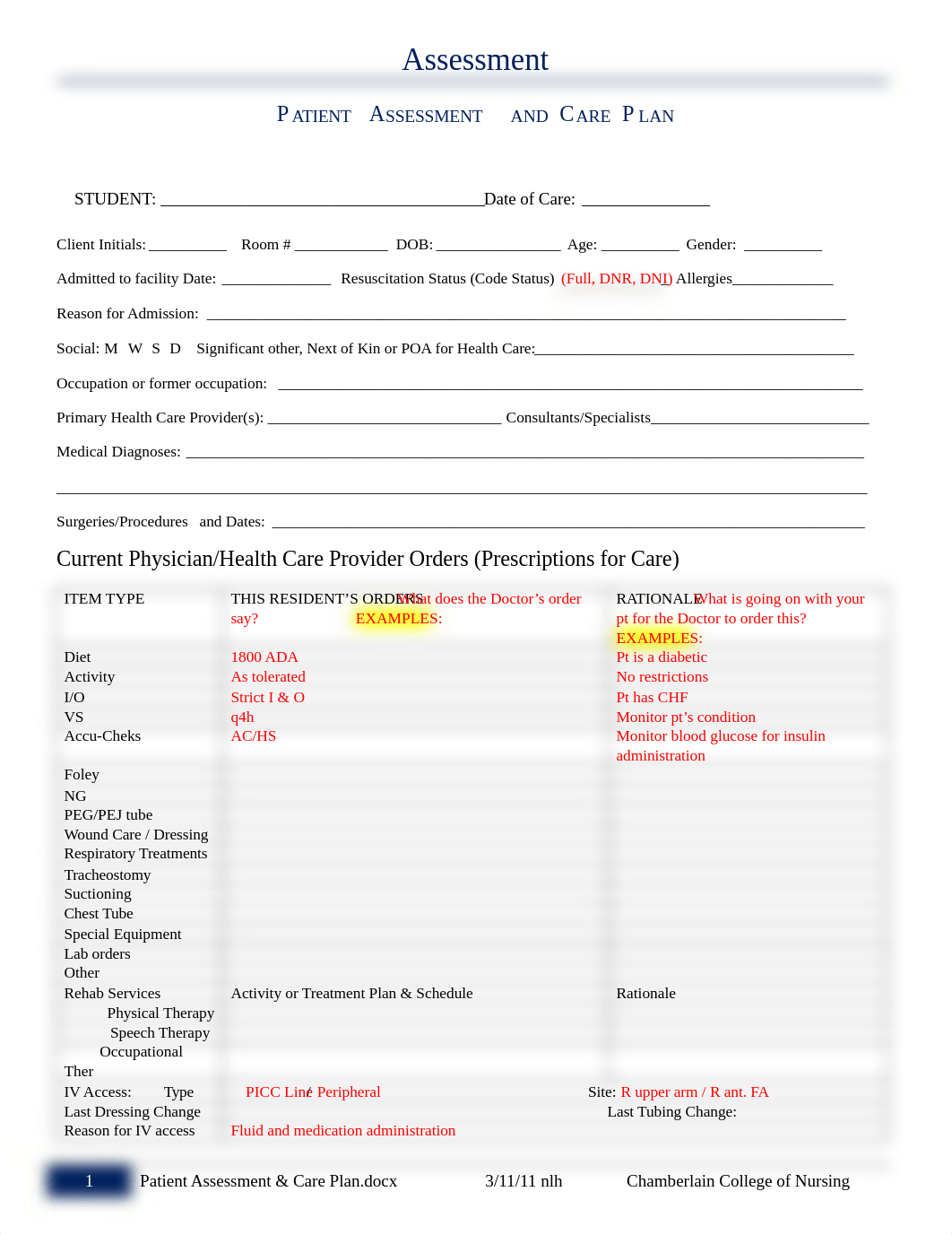 Care Plan Guide for NR324 and NR325 Rev 5-17.docx_de8tpxrsxps_page1