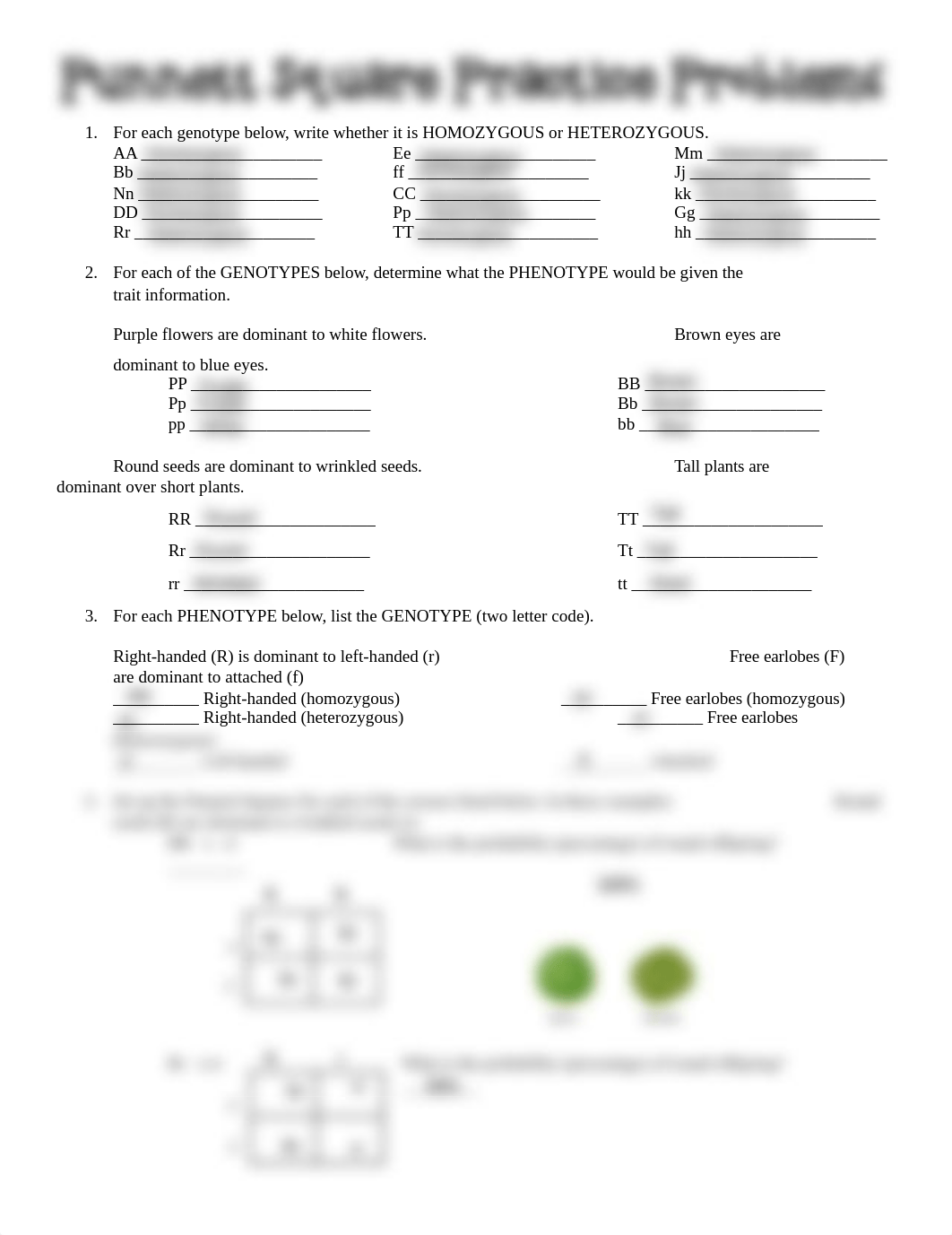 Punnett Square Practice Problems.pdf_de8vtb03obm_page1