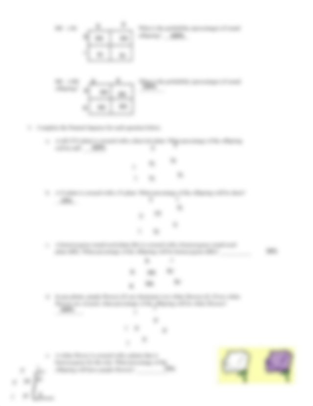 Punnett Square Practice Problems.pdf_de8vtb03obm_page2