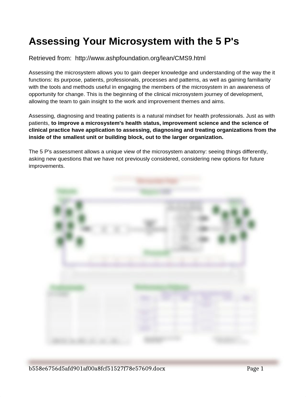 5P Microsystem Assessment.docx_de8w5ig84th_page1