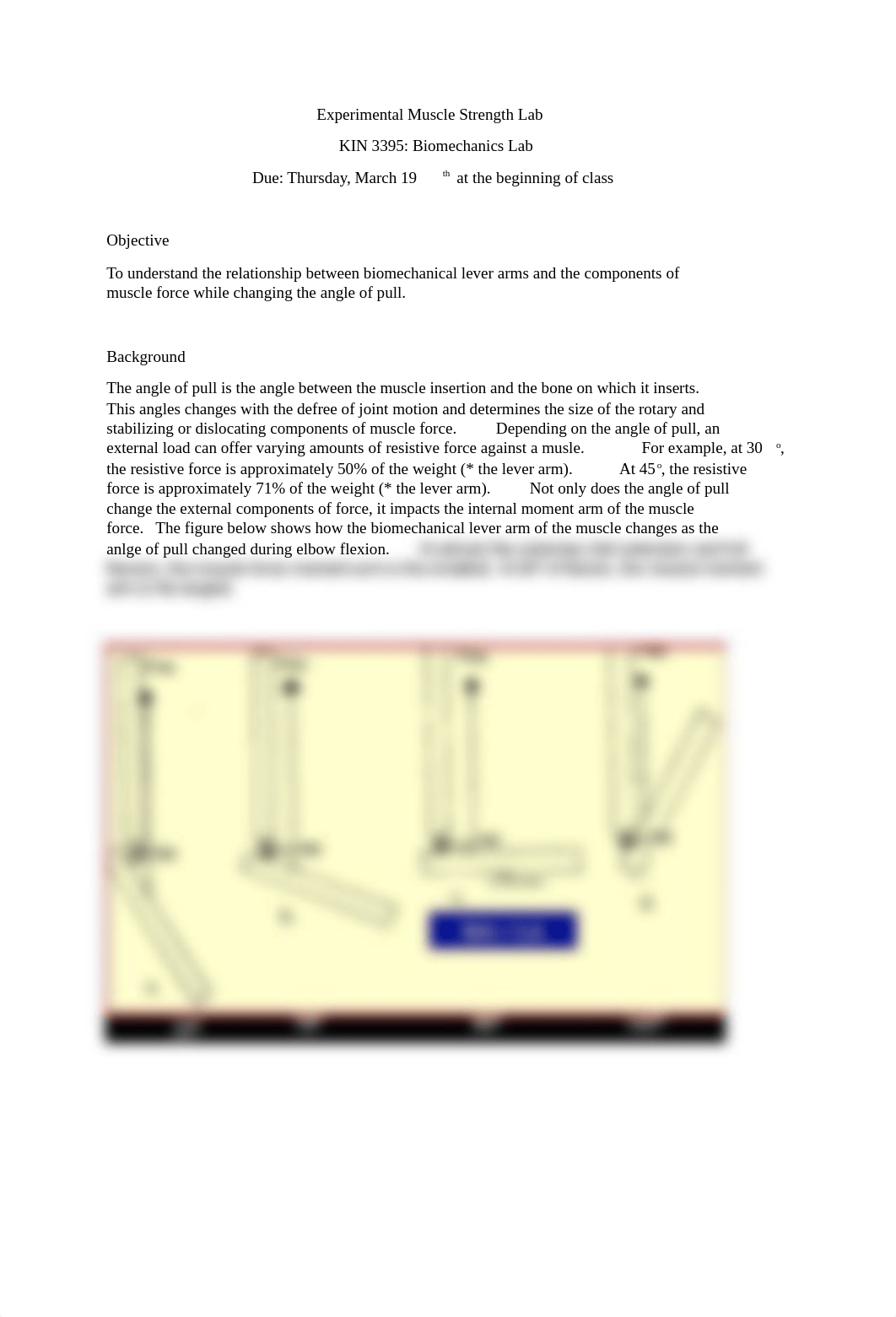 Muscle Strength Lab Sp19.docx_de983557hgu_page1