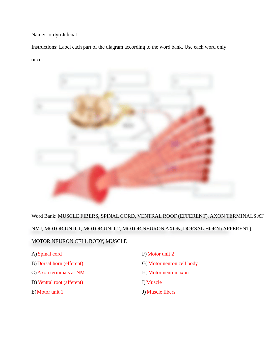 402_assignment_2_rough_draft.docx.pdf_de9jv2usrav_page1