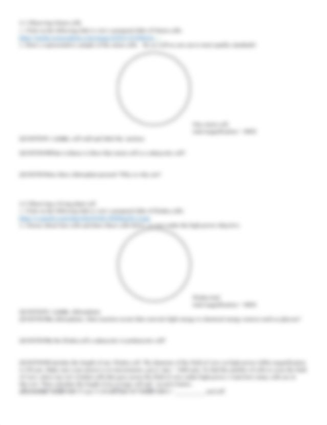 Lab 4 Cells - FA2020.docx_de9mesjcyiy_page2