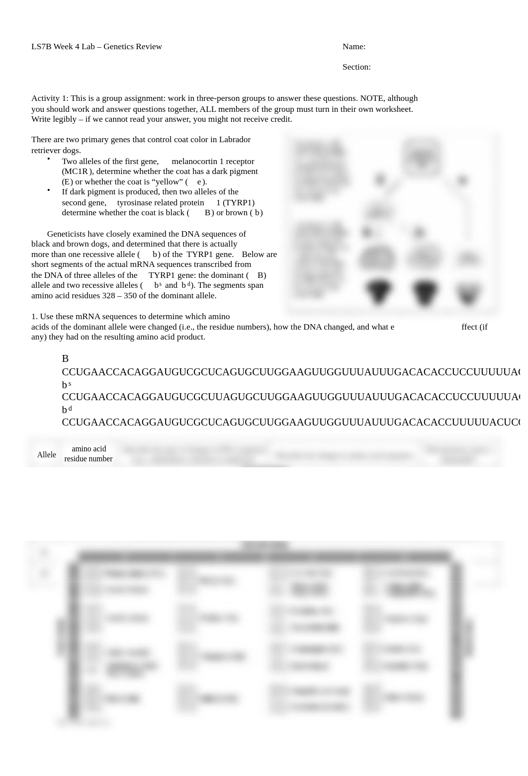 Week 4 Lab Lab.pdf_de9rxhw52wi_page1