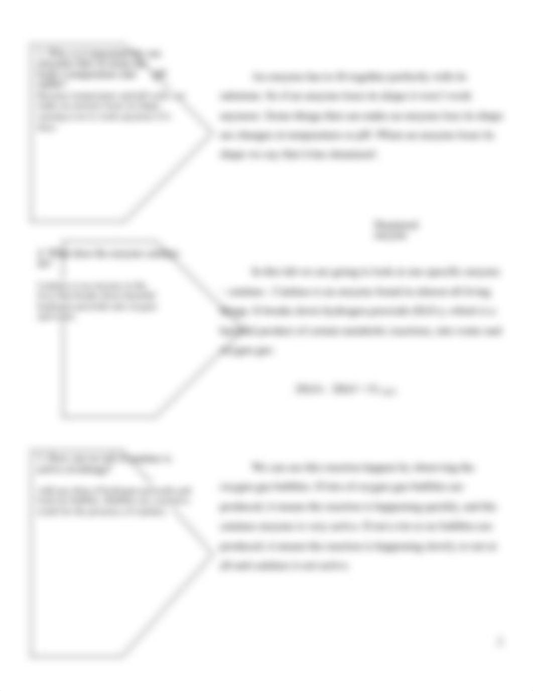 Potato Bubbles Intro to Enzymes Laboratory.docx_dea2h399jnl_page2