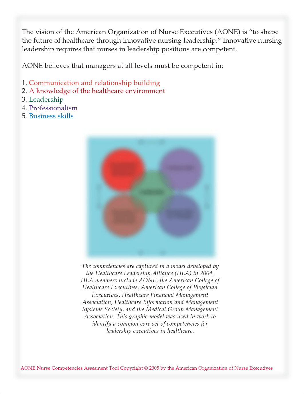 Nurse_Assessment_Tool.pdf_dea324p887y_page2