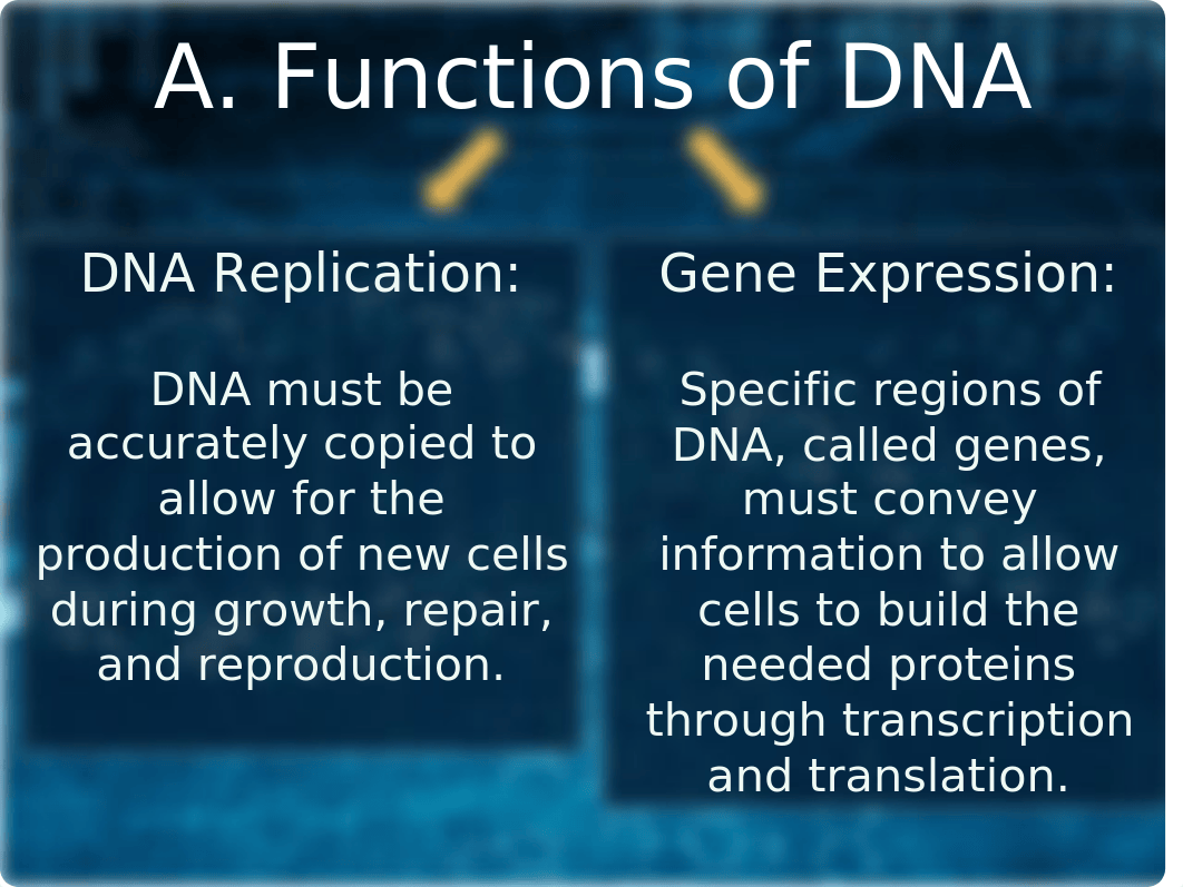 RISE_Epigenetics_Chem121 (1).ppt_dea40ahufer_page4