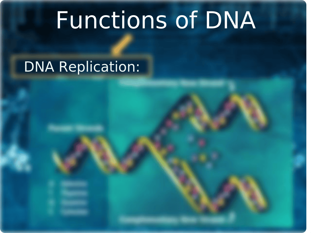 RISE_Epigenetics_Chem121 (1).ppt_dea40ahufer_page5