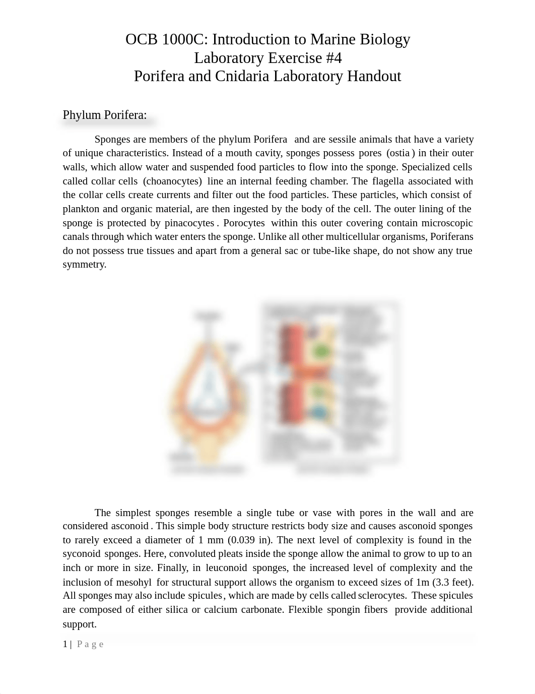 Lab #4 - Porifera and Cnidaria.pdf_dea9duil89o_page1