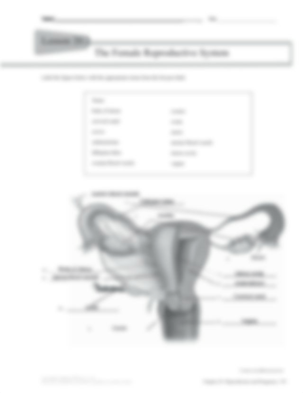 Chapter 20 Workbook-1.pdf_deaca02u9ks_page3