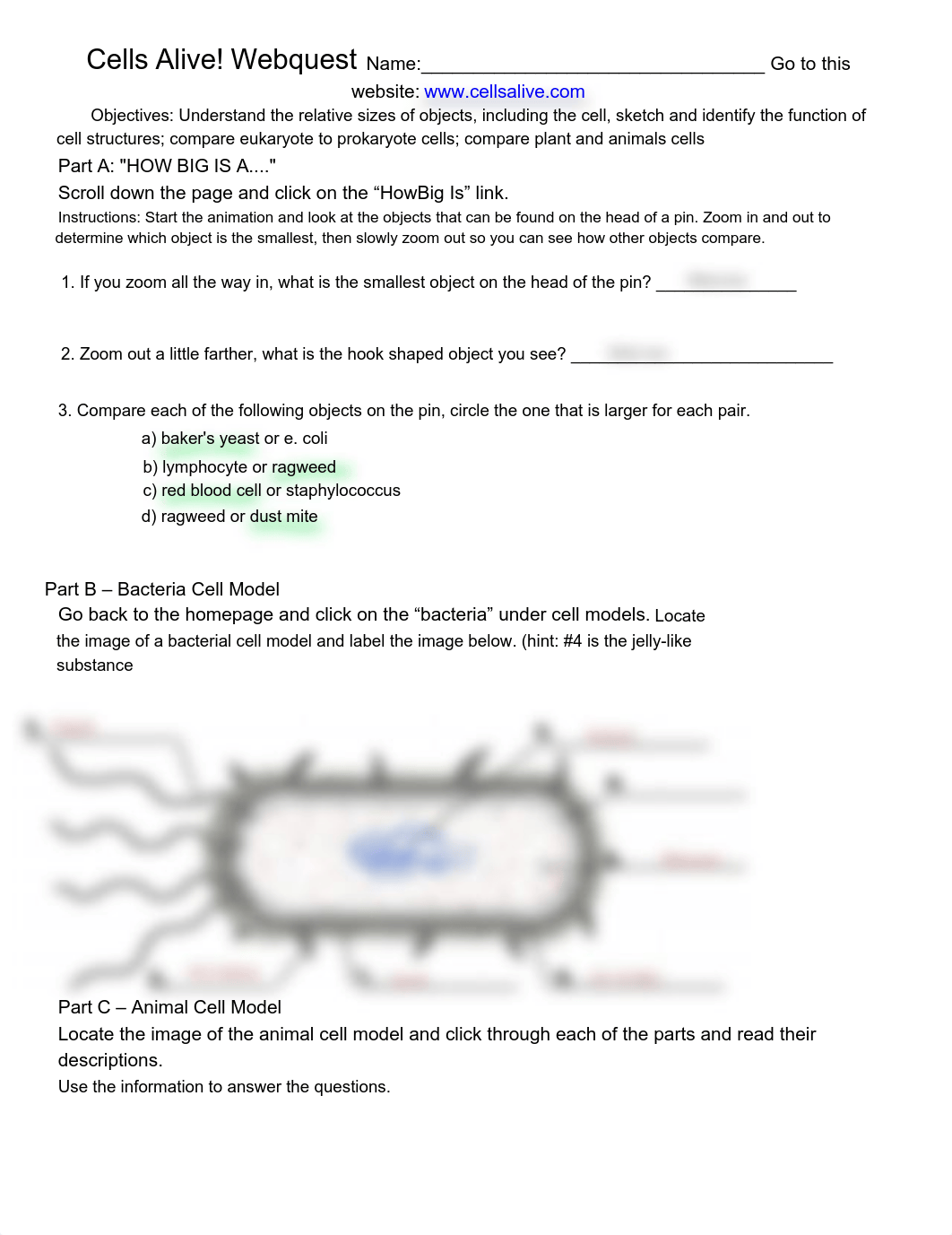 Kami_Export_-_Cells_Alive_(1)_(2).pdf_deaj4q4cckc_page1