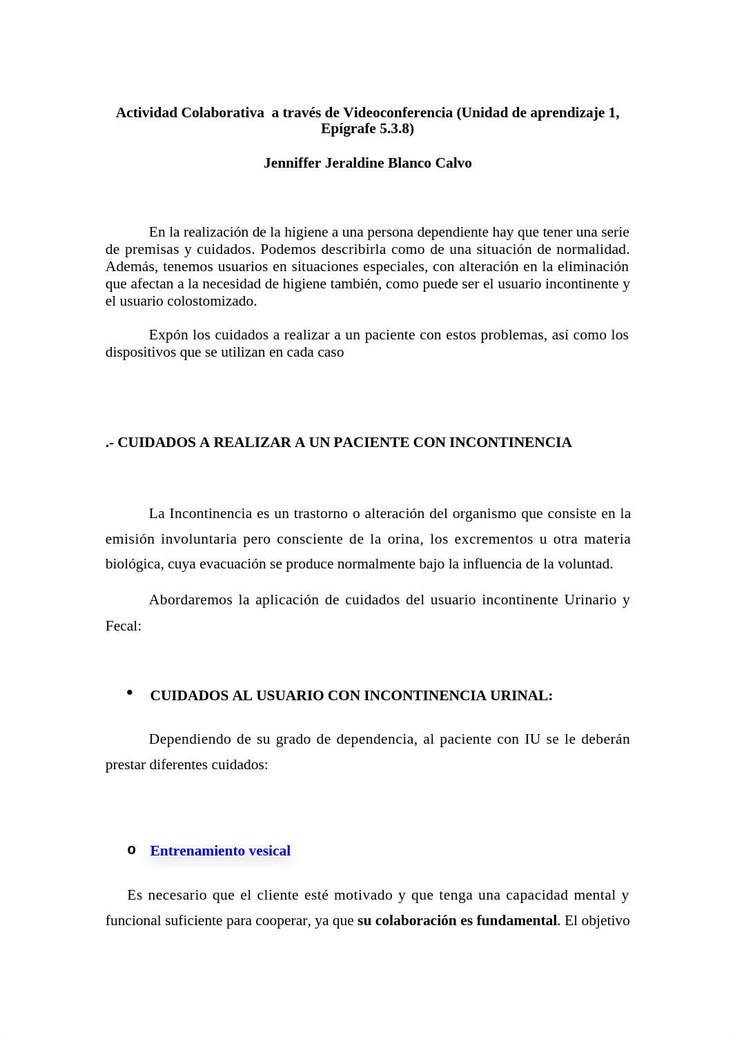 Actividad Colaborativa  a través de Videoconferencia.docx_deam0blxjym_page1