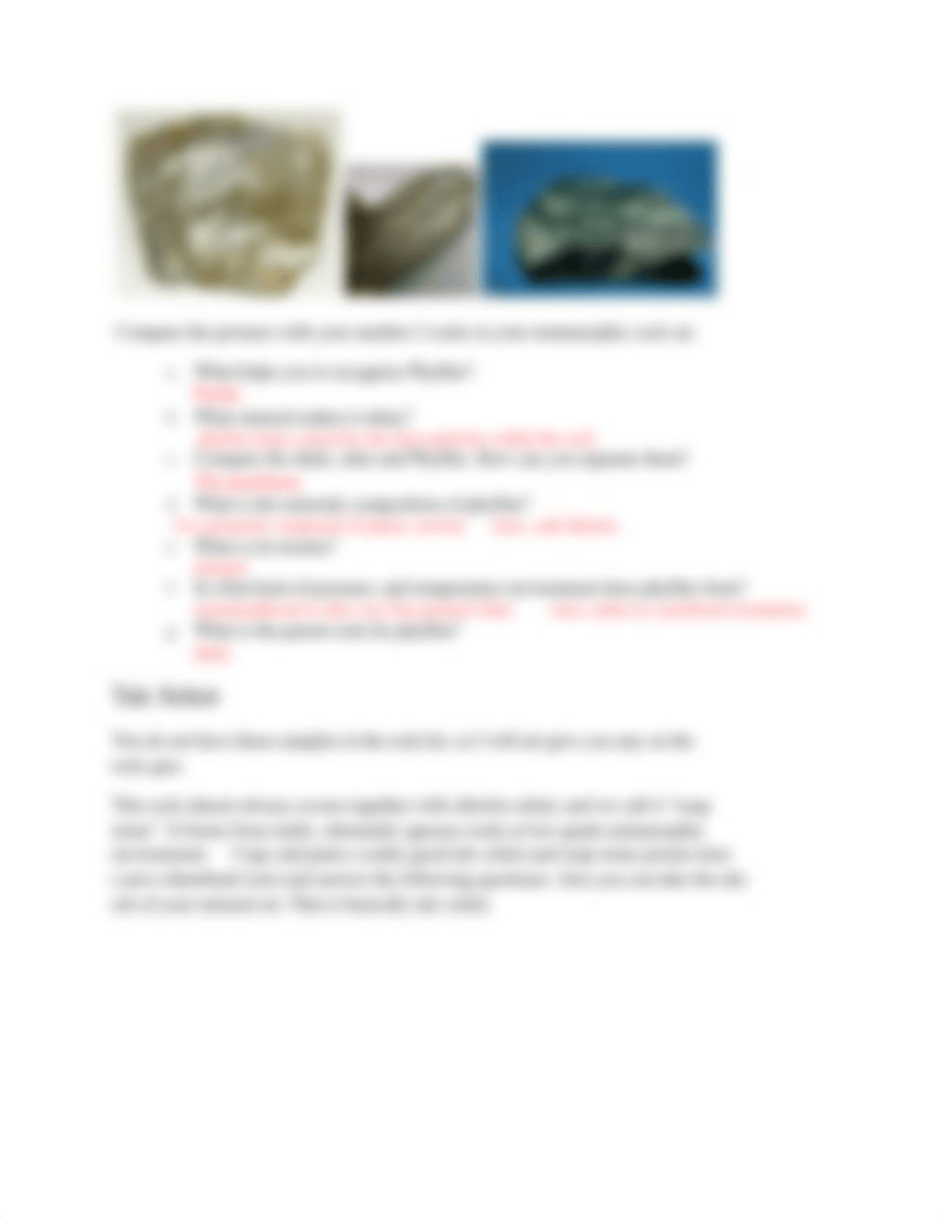 Metamorphic Rocks lab (5) (1).docx_dean2z9kl8q_page3